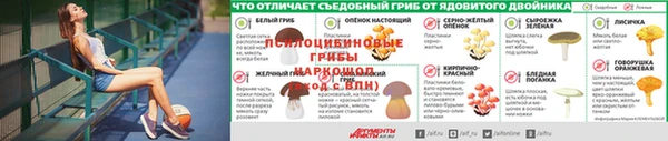 Альфа ПВП Белоозёрский