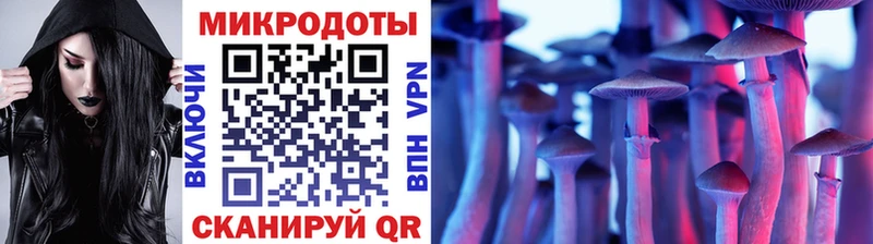кракен tor  закладки  Калуга  Галлюциногенные грибы Psilocybine cubensis 