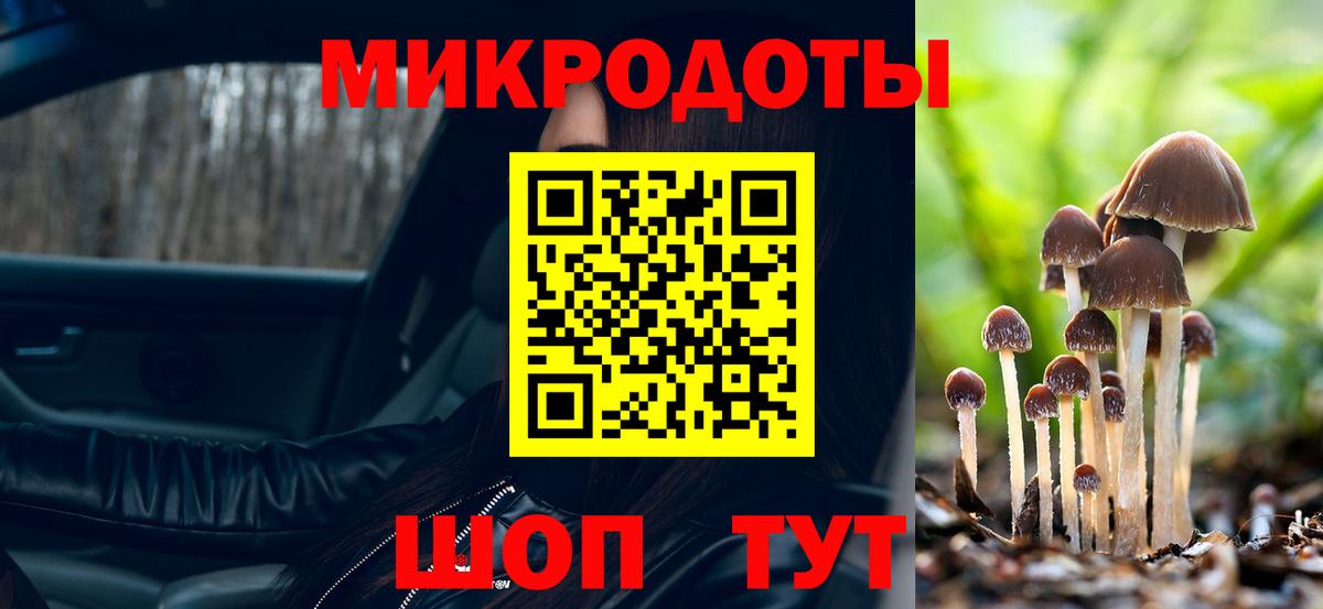 Псилоцибиновые грибы ЛСД Калуга